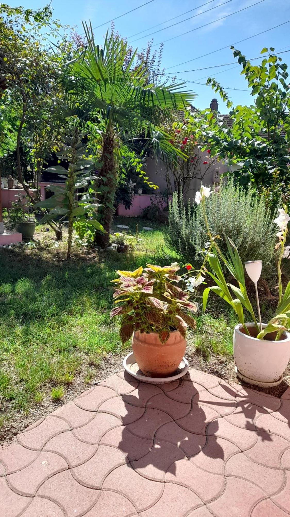 Appartamento Venus Dessenheim Esterno foto